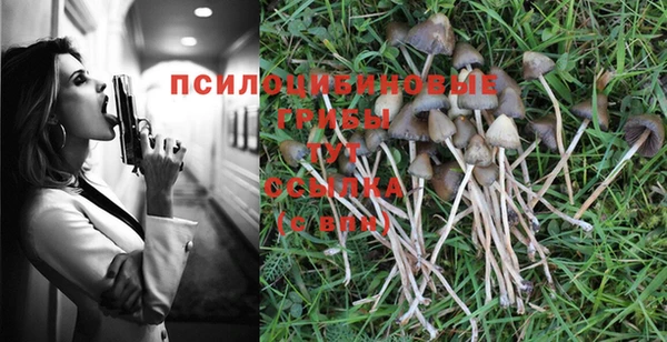 ешки Арсеньев